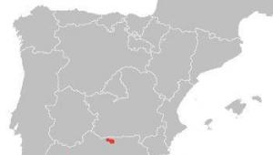 Пиренейская или испанская рысь