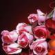 Рецепты домашних ликеров из лепестков роз Ликер из розовых лепестков рецепт